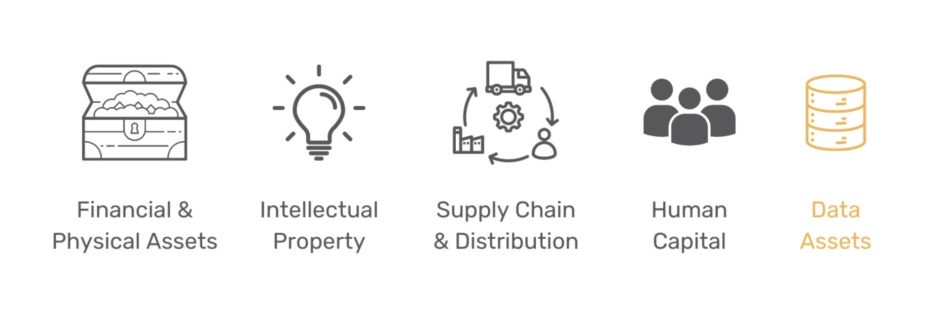 Icons representing financial & physical assets, intellectual property, supply chain, human capital, and data assets.
